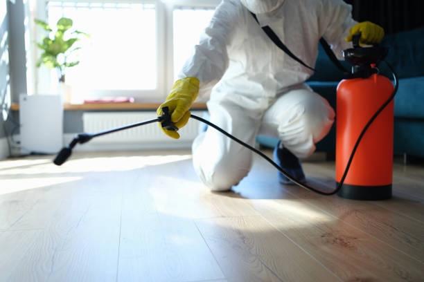 Reliable Odor Removal contractor in Ridgecrest, NC by Crime Scene Cleaner Online